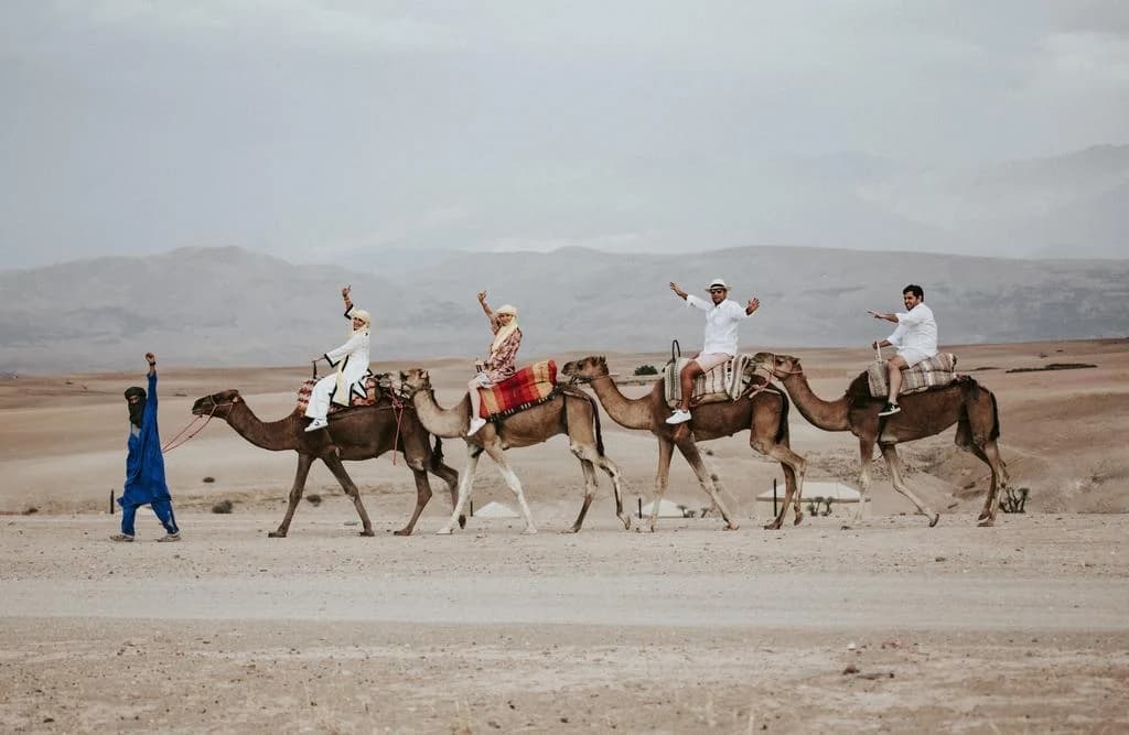 Line of camels with riders led by a Bedouin guide through the Agafay Desert