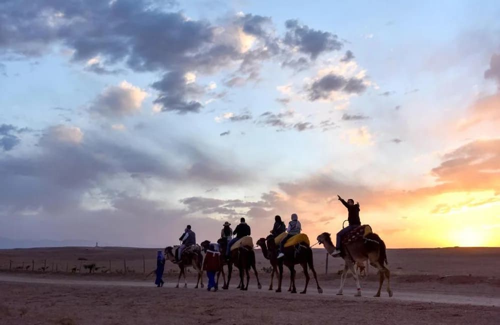 Riders on camels silhouetted against a dramatic sunset in the Agafay Desert