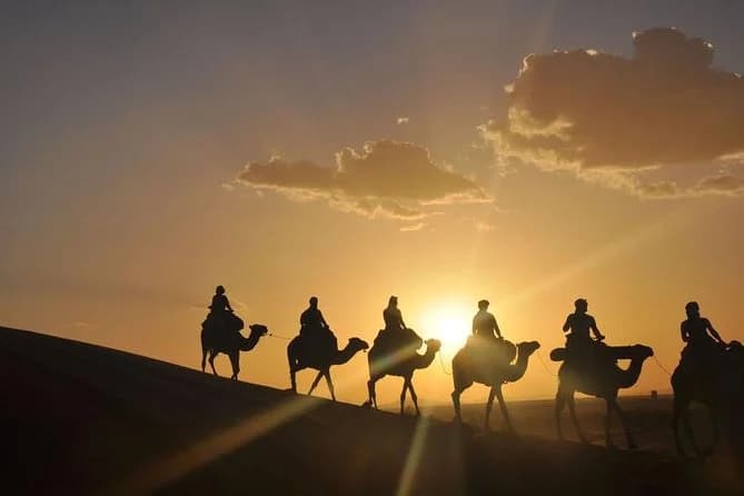 Silhouette of a camel caravan crossing a dune at sunset in the Agafay Desert